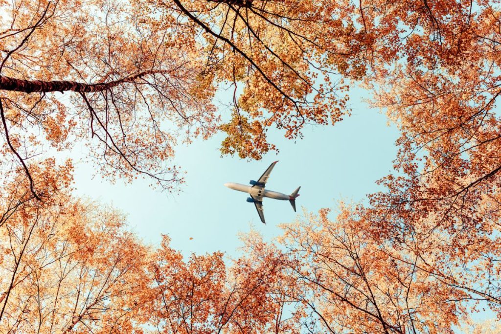 Les tarifs aériens baissent de 29 % à l’approche de l’automne