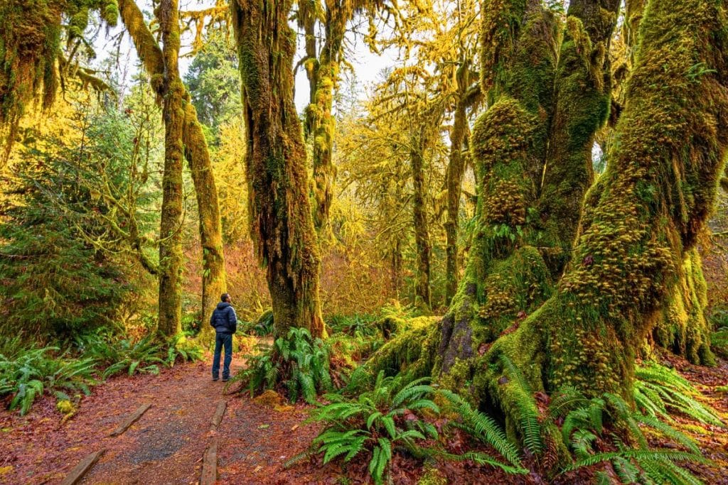 8 meilleurs endroits à visiter dans l'État de Washington à l'automne 2023