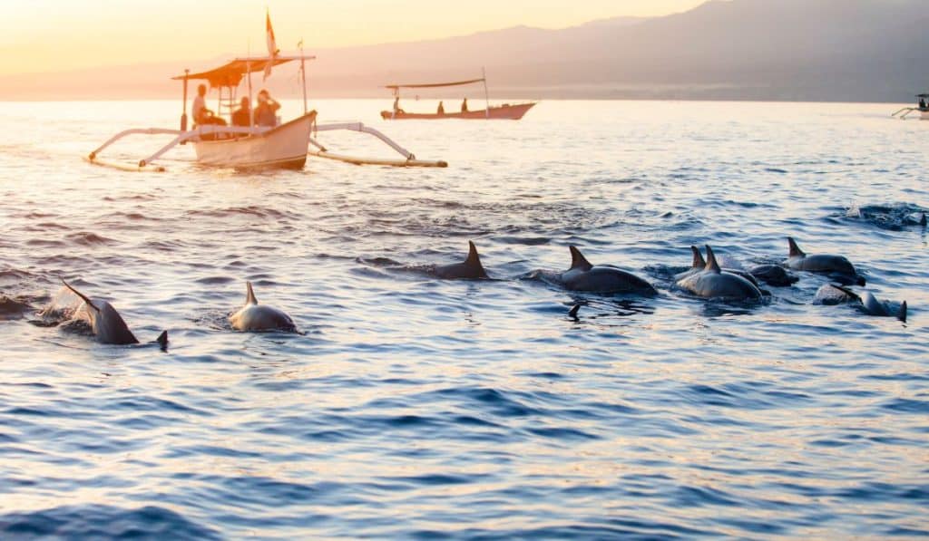 3 meilleurs endroits à visiter au nord de Bali pour éviter les foules à Noël