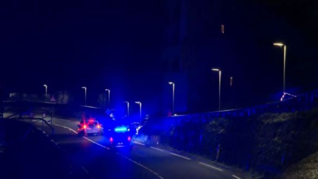 La femme blessée dans une maison de Gipuzkoa décède suite à une balle tirée de l'extérieur