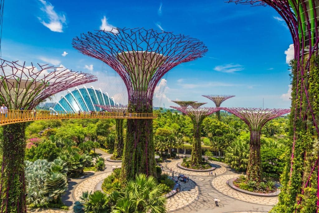 Singapour publie un avis aux voyageurs et rétablit les mandats de masques au milieu de l'épidémie de Covid