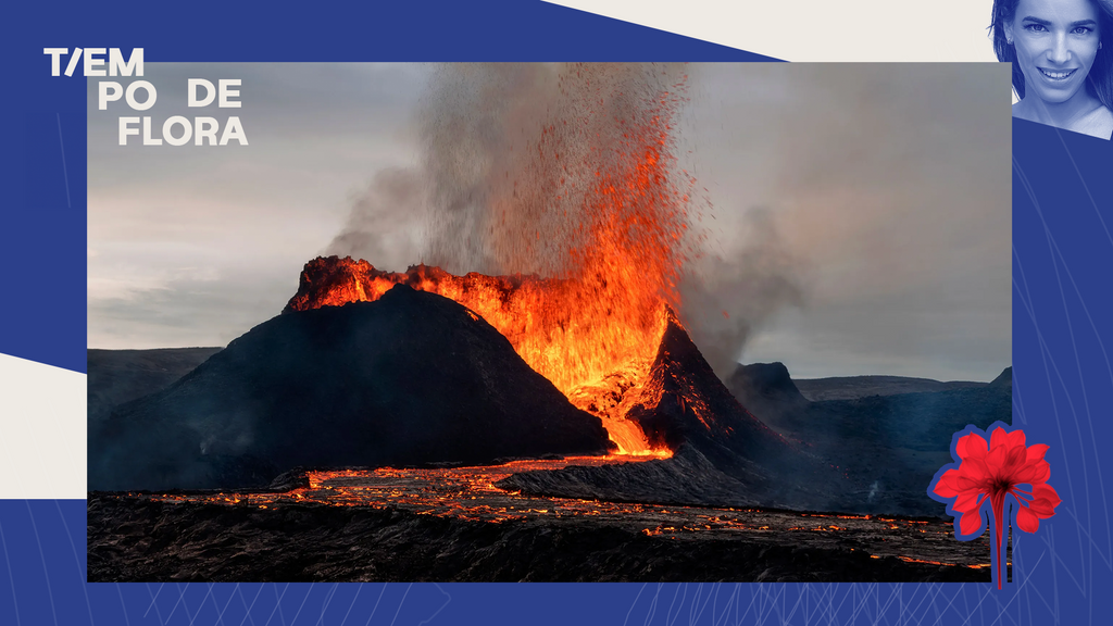 Flora Time : que se passe-t-il en Islande