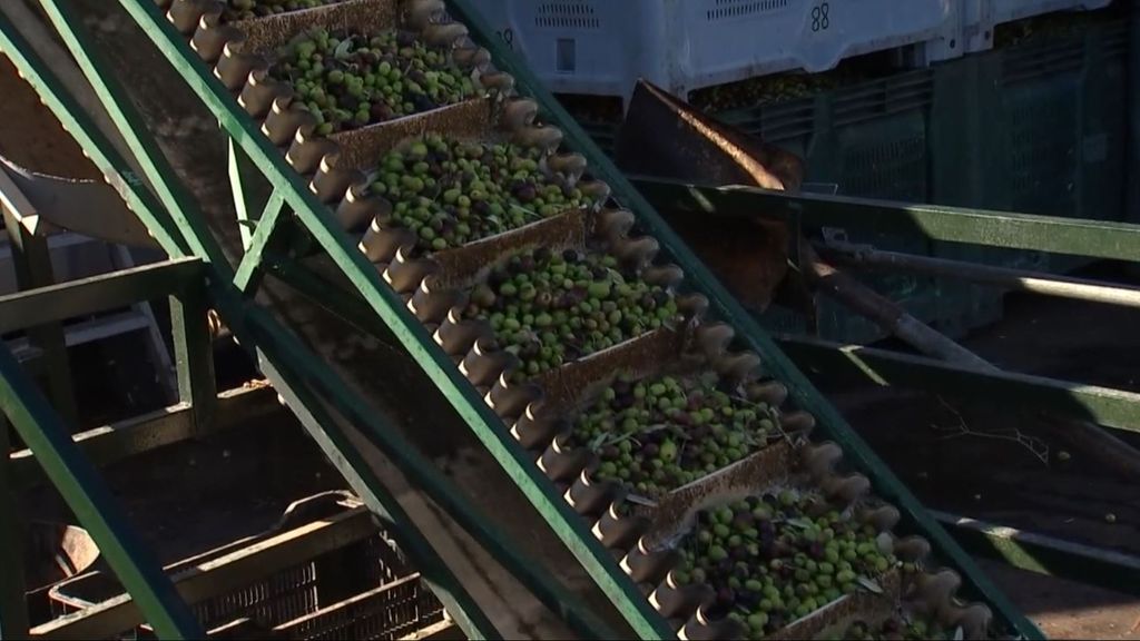 Le prix du pétrole, à 10 euros pour clôturer l'année