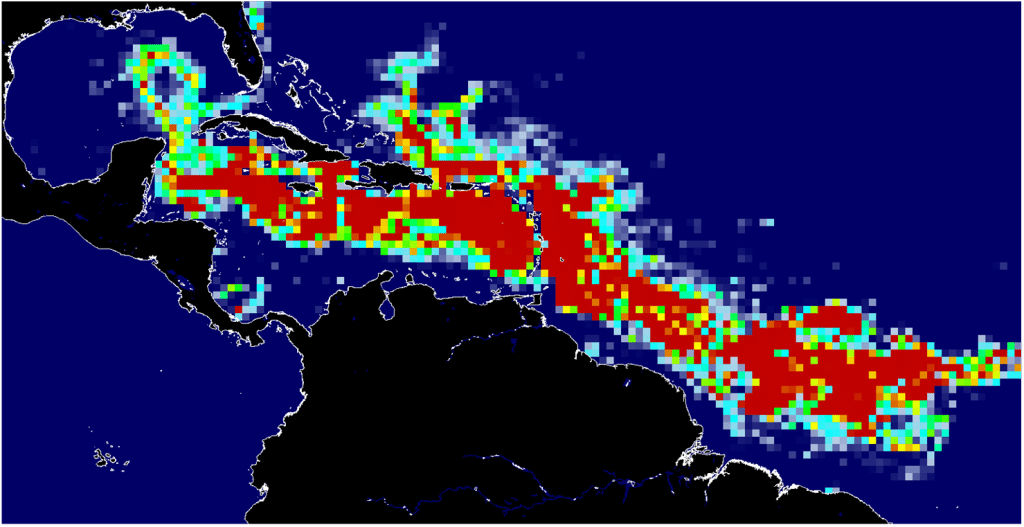 De nouvelles sargasses d’une taille record menacent d’envahir bientôt la Floride et les Caraïbes
