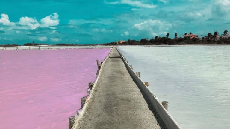 8 incroyables joyaux cachés à Porto Rico à visiter en 2024