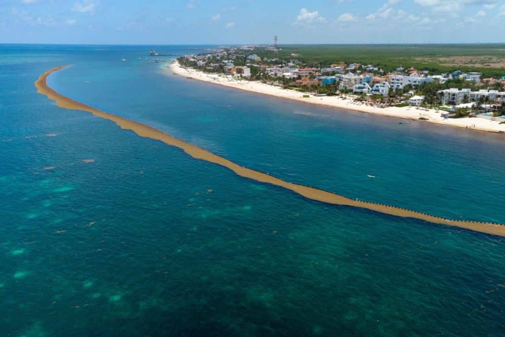 La marine mexicaine ajoute plus de 9 000 mètres de barrières anti-sargasses dans les Caraïbes