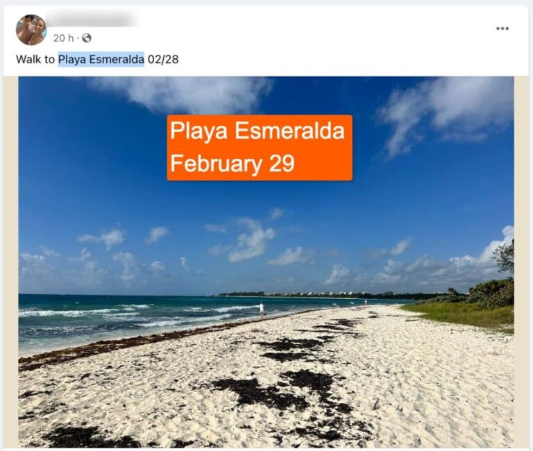 Cancun prêt à lutter contre l'arrivée imminente des sargasses