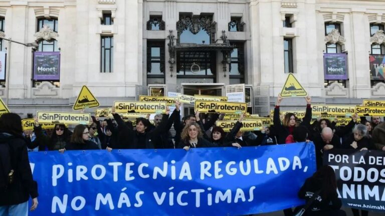 Manifestation à Madrid contre la mascletá à Madrid Río