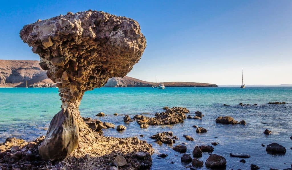 LA PAZ Mexique est-il sûr à visiter en ce moment ?  Avis aux voyageurs 2024