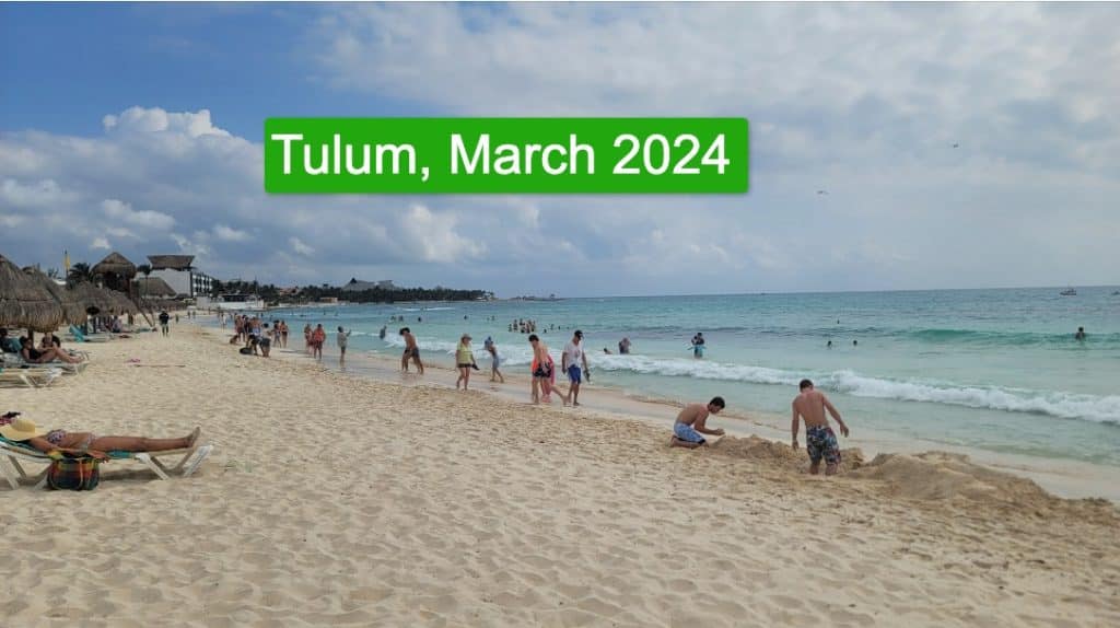 Les habitants et les vendeurs de Tulum signalent moins d'algues sargasses en 2024