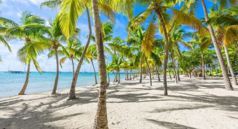 L’île de la Guadeloupe est-elle sûre à visiter ?  Avis aux voyageurs 2024