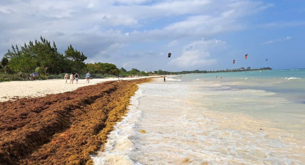 plage de coco
