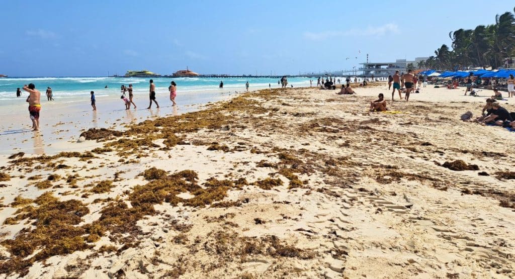 Playa del Carmen - Plage