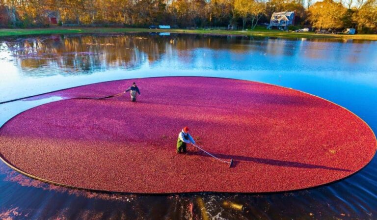 7 incroyables joyaux cachés du Massachusetts à visiter en 2024