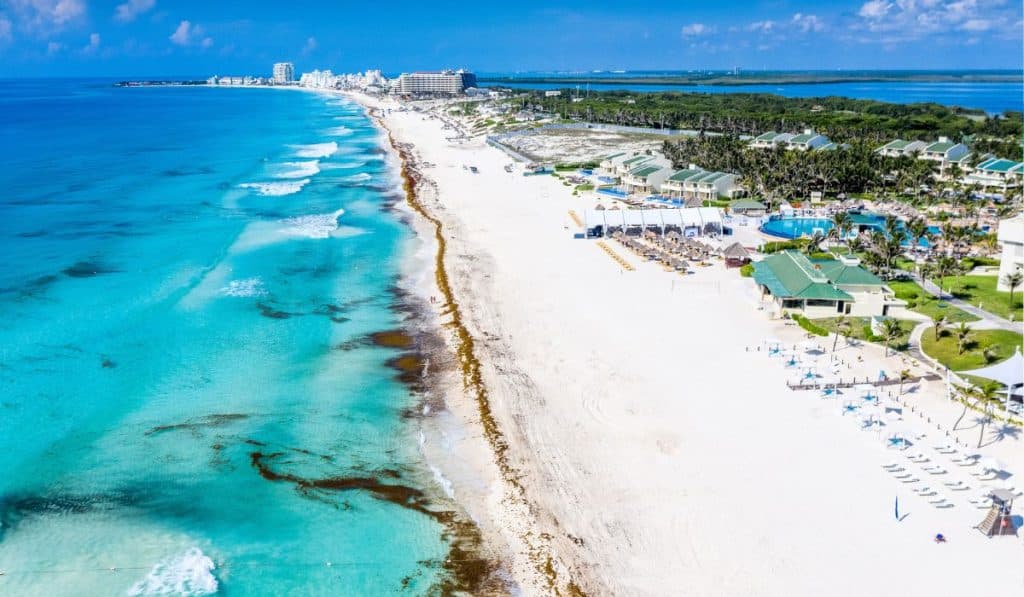 Cancun recevra des milliers de tonnes de sargasses dans les prochaines semaines, préviennent les autorités
