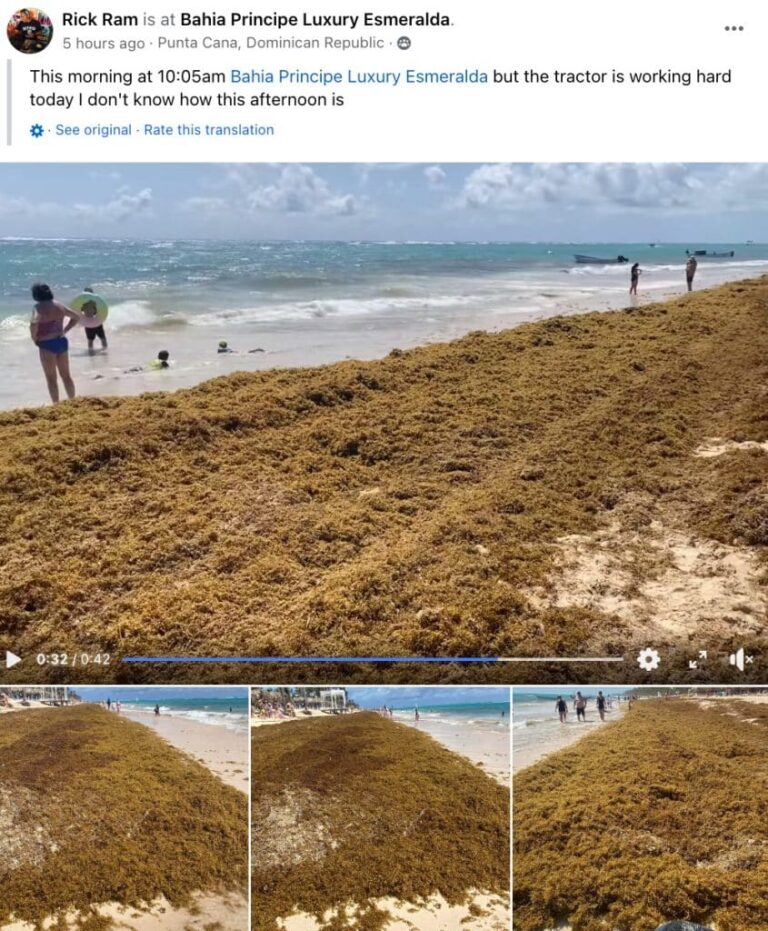 Ces 6 points chauds de voyage dans les Caraïbes connaîtront une invasion record d’algues à l’été 2024