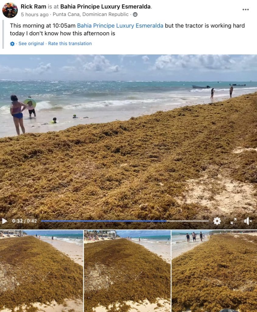 Ces 6 points chauds de voyage dans les Caraïbes connaîtront une invasion record d’algues à l’été 2024
