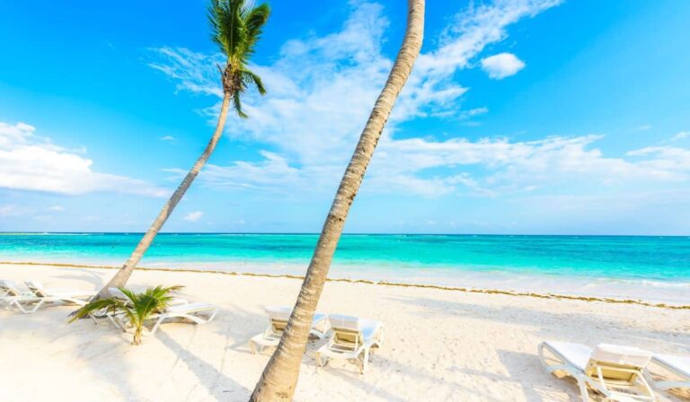 Les Caraïbes mexicaines seront bientôt débarrassées des algues, selon les autorités