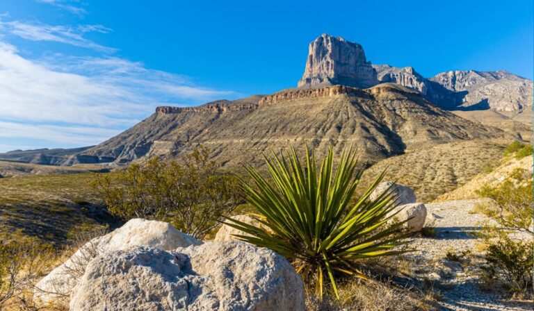 Les 7 endroits les plus sous-estimés à visiter au Texas en 2024