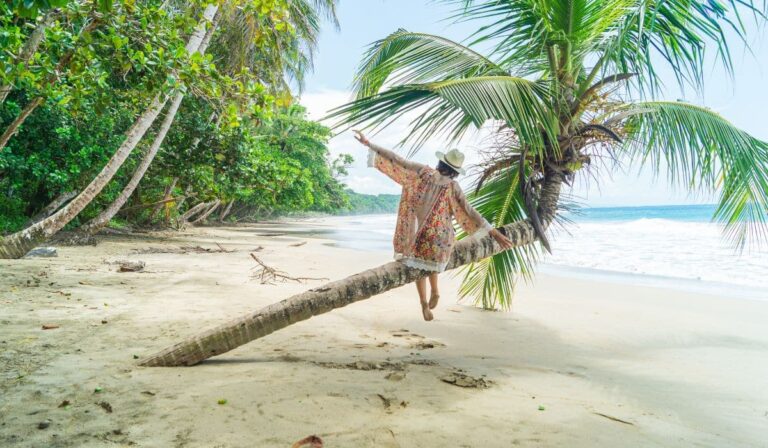 Les 7 meilleures îles des Caraïbes pour terminer l'été 2024 pendant le week-end de la fête du Travail