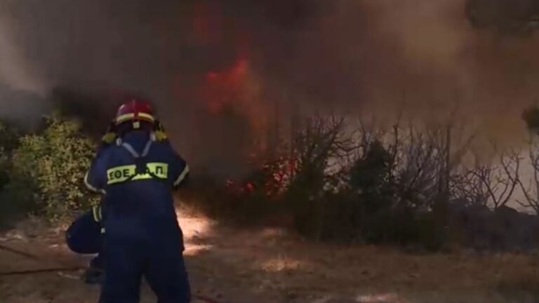 Deux incendies de forêt menacent Athènes