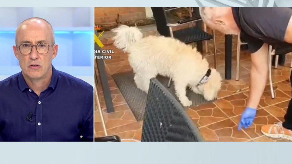 La vidéo du chien de la Garde Civile confirmant qu'il y a des restes biologiques sur le couteau