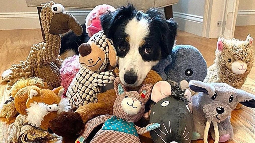 Un chien entouré d'animaux empaillés