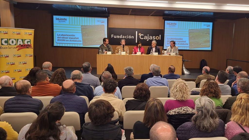Présentation de l'étude sur « l'ubérisation de l'oliveraie espagnole » en Andalousie