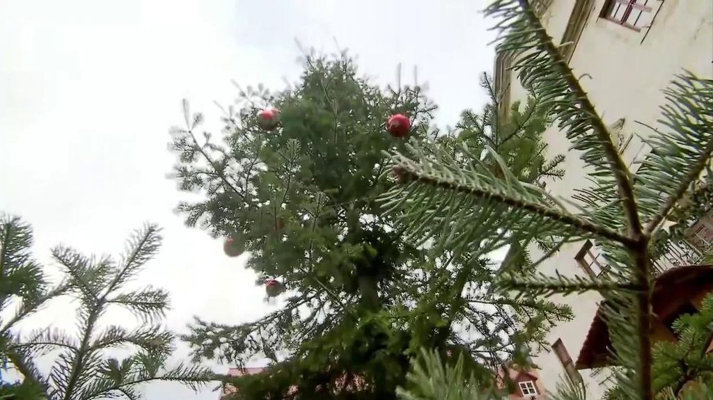 Sapin de Noël Allemagne
