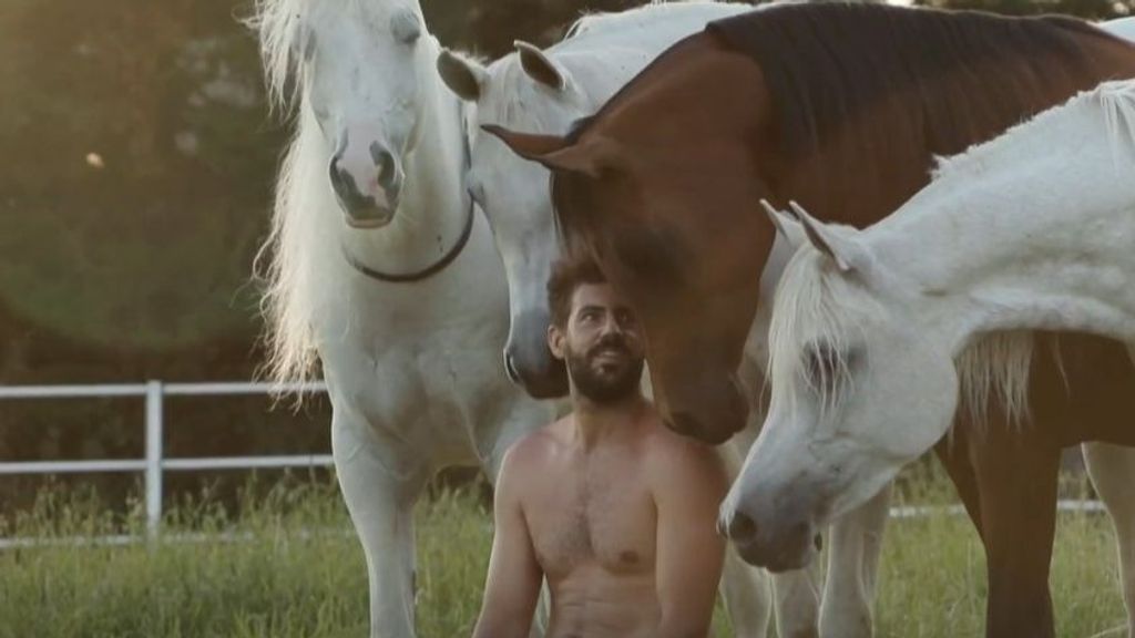 Santi Sierra, « l'homme qui murmurait aux chevaux » : son art consiste à dresser ses animaux en liberté