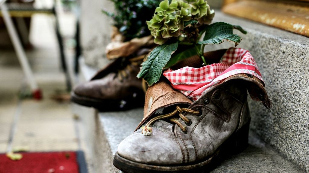 De vieilles chaussures transformées en pots de fleurs