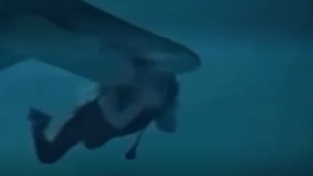 Un plongeur survit miraculeusement à une attaque de requin aux Maldives