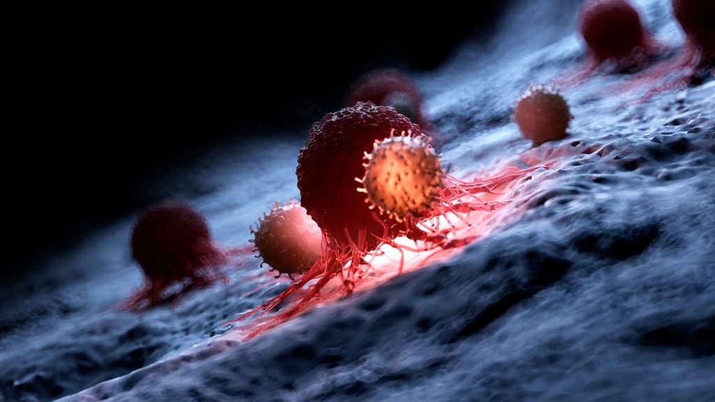 Les cellules tumorales développent des stratégies pour surmonter les barrières immunologiques