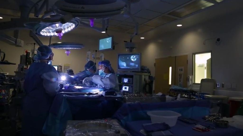 La Santé veut autoriser les greffes entre personnes séropositives, interdites depuis 1987