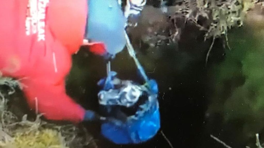 Moment où l'un des chiens fait surface dans un sac