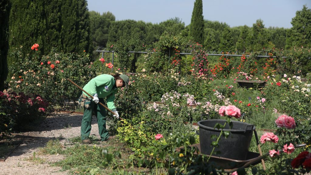 La transition écologique dynamisera les emplois liés à l'environnement : "Pour la formation professionnelle, près d'une opportunité sur trois sera potentiellement verte"