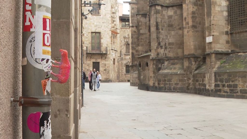 Des centaines de moutons semblent cachés à Barcelone,