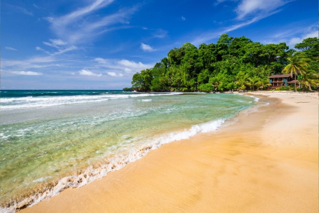 Plage de la grenouille rouge au Panama