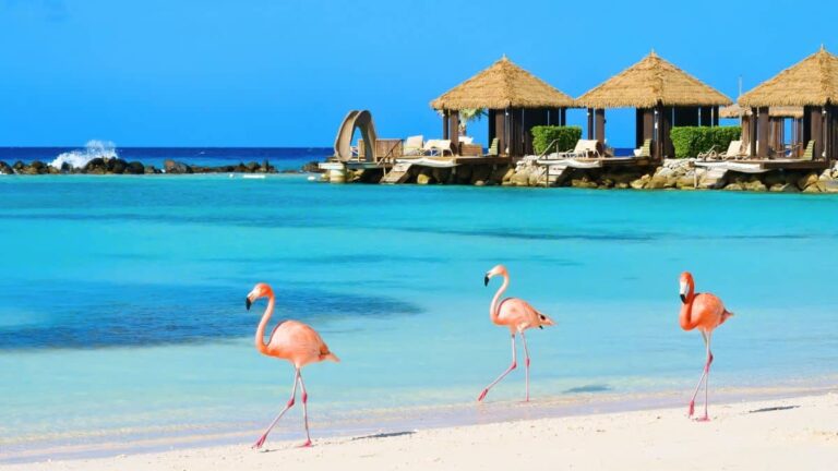 Aruba est-il sûr à visiter ? Avis aux voyageurs 2025
