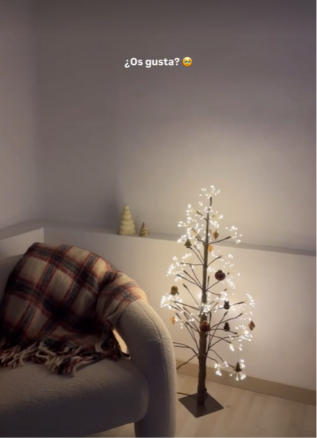 Melyssa Pinto inaugure Noël