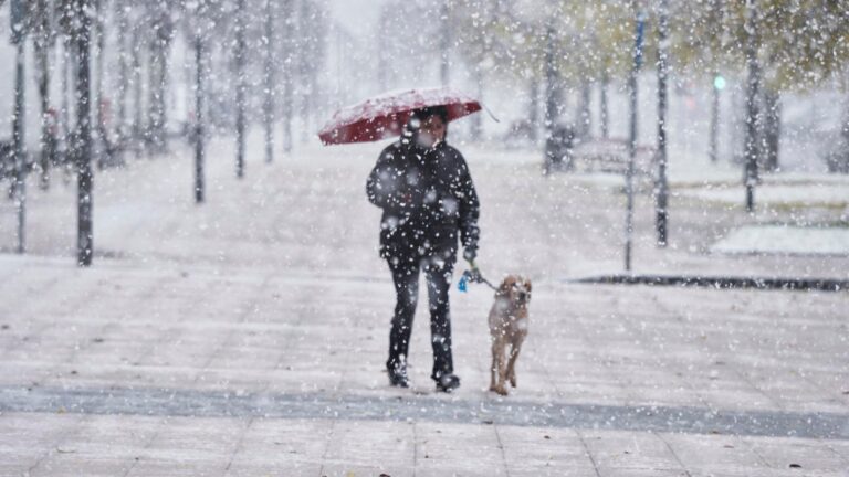 les tempêtes, le froid et la neige mettent 17 provinces en alerte