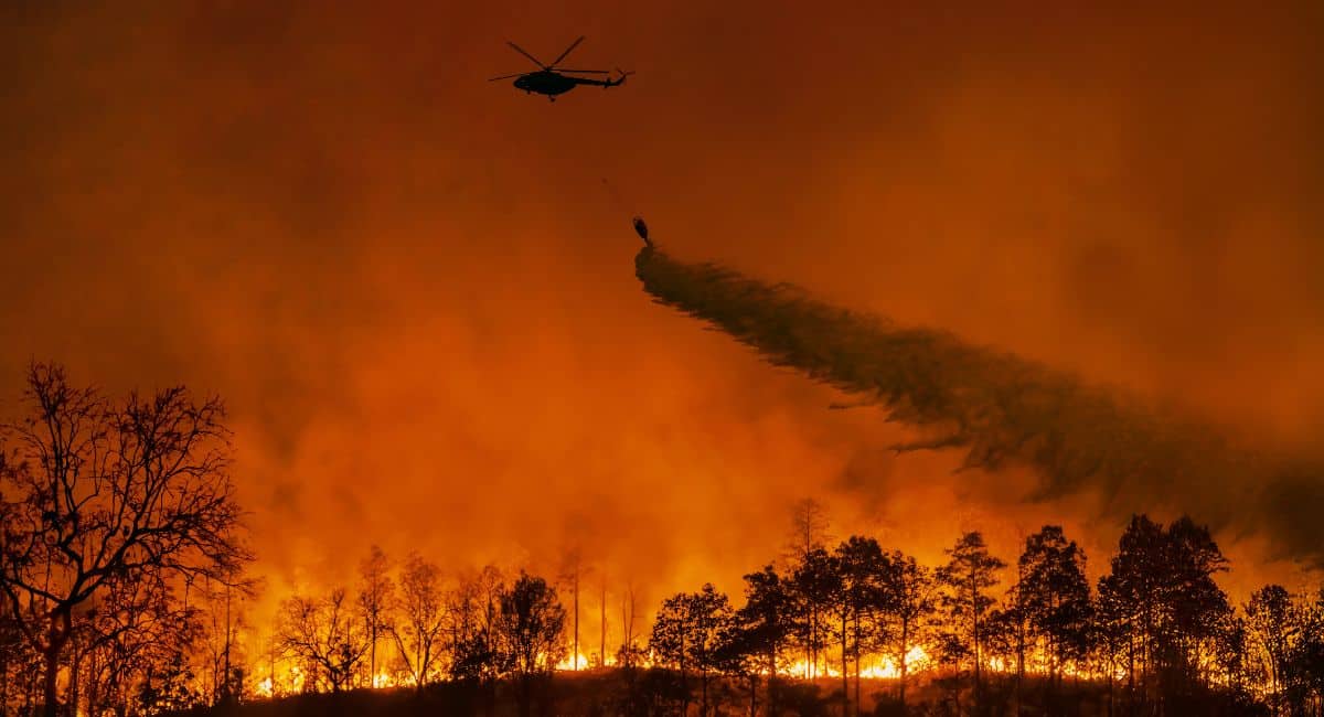 Is LA Safe Right Now? Travel Advisories, Wildfires MAP, LAX Update