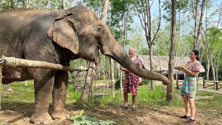La police thaïlandaise enquête sur le gardien de l'éléphant qui a tué le touriste espagnol