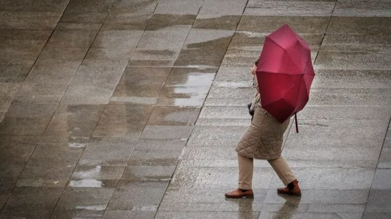 Que faire avant Borrasca Herminia?