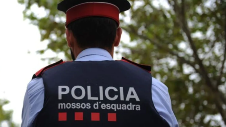 Arrêté pour avoir conduit en contradirection et essayé de frapper un mosso