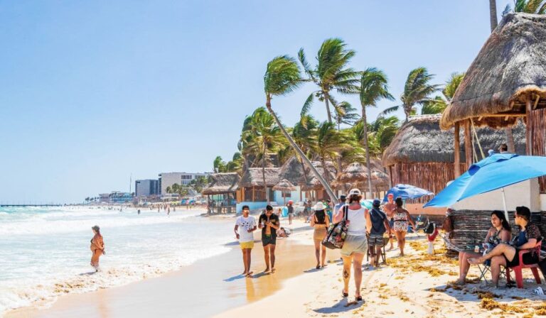 Ces 3 plages de Playa del Carmen se distinguent pour des niveaux de sargasse bas avant Pâques