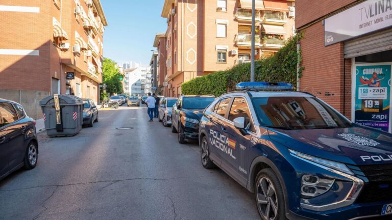 Les causes possibles de la mort du bébé oublié dans une voiture à Linares, Jaén