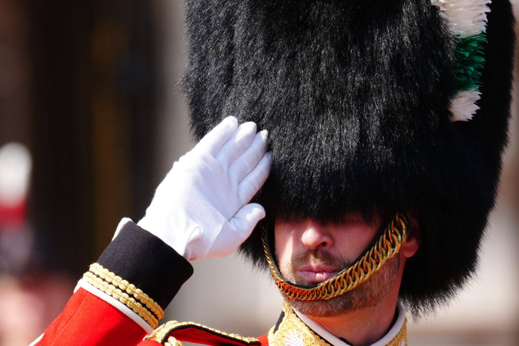 Le prince de Galles