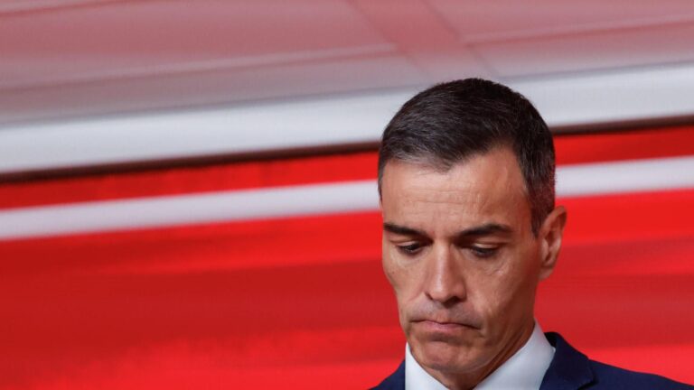 Pedro Sánchez déclare que « le PSOE est une organisation propre »