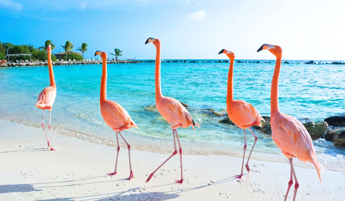 6 Best Islands in the Caribbean To Visit in November 2025